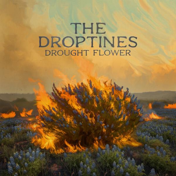 Droughtflower Thedroptines 4000X4000 Rgb Scaled Large